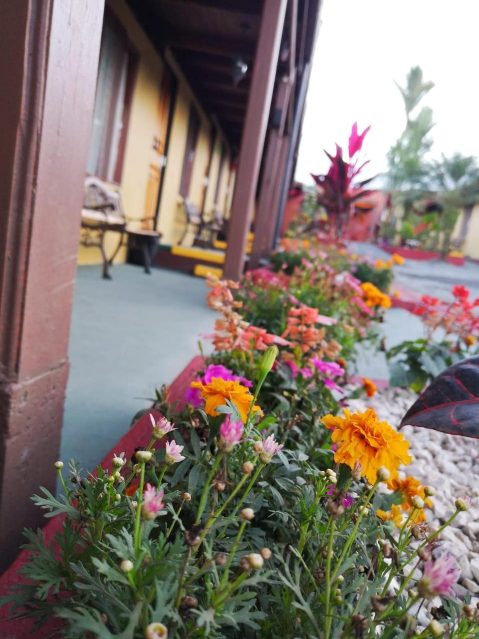 La Fortuna Hotel Destinos Arenal מראה חיצוני תמונה